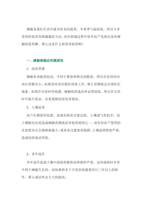 辣椒幼苗死棵是什么原因导致的？
