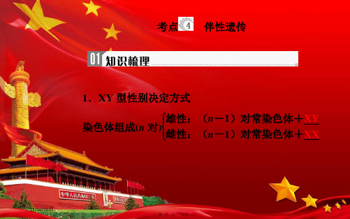 高中生物学业水平复习专题八遗传的基本规律考点4伴性遗传课件高二全册生物课件