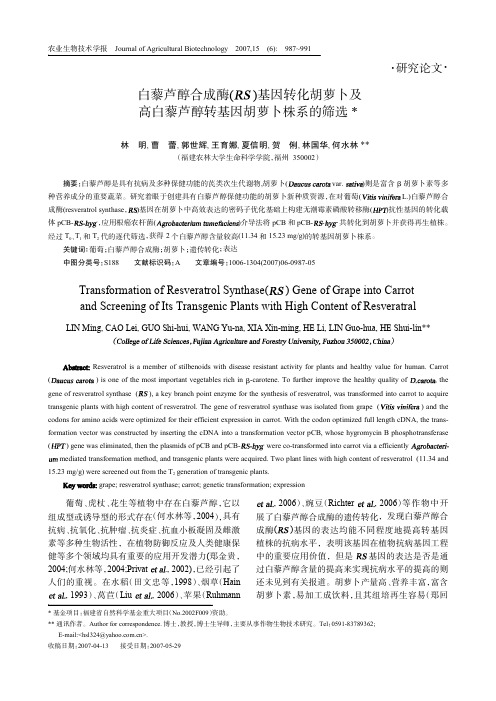 RS基因转化胡萝卜及高白藜芦醇转基因胡萝卜株系筛选