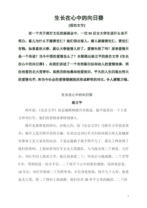生长在心中的向日葵