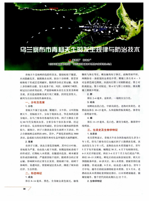 乌兰察布市青杨天牛的发生规律与防治技术
