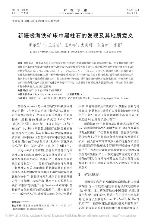 新疆磁海铁矿床中黑柱石的发现及其地质意义