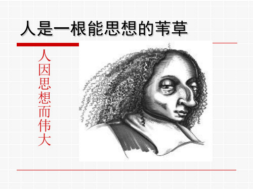 人是一根能思想的苇草解析