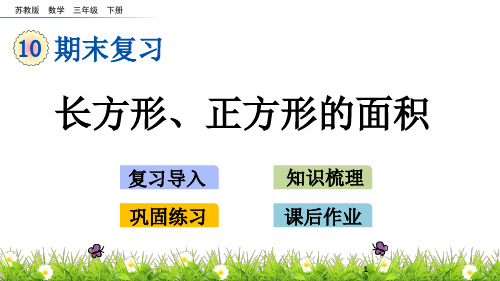 三年级数学下册10-4长方形、正方形的面积课件(苏教版)