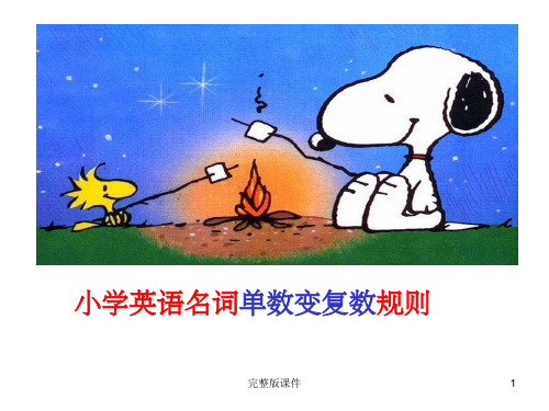 小学英语名词复数ppt课件