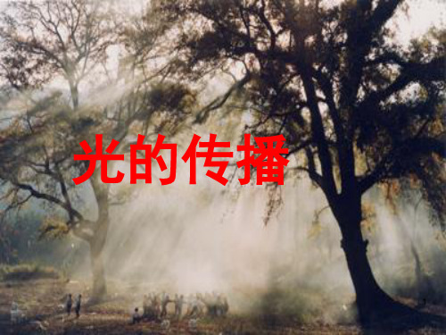 教科初中物理八上《4.1光源光的传播》PPT课件