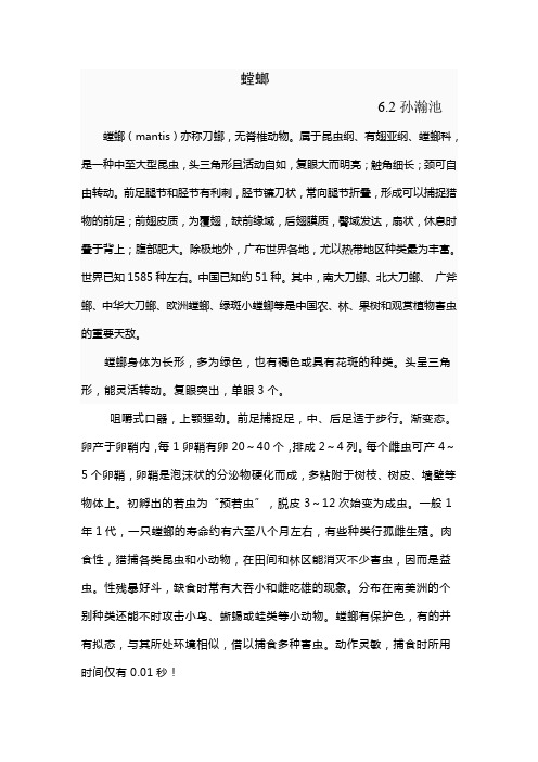 螳螂