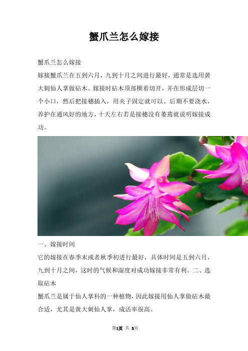 蟹爪兰怎么嫁接