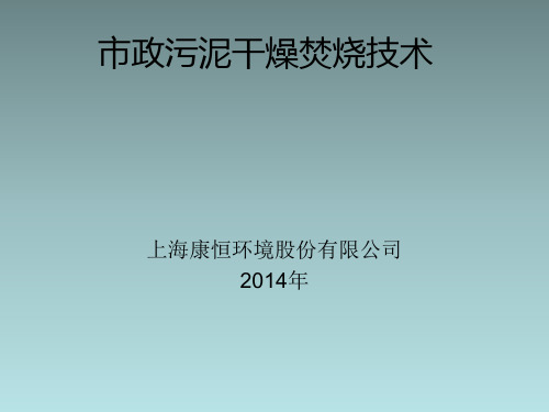污泥干化焚烧介绍