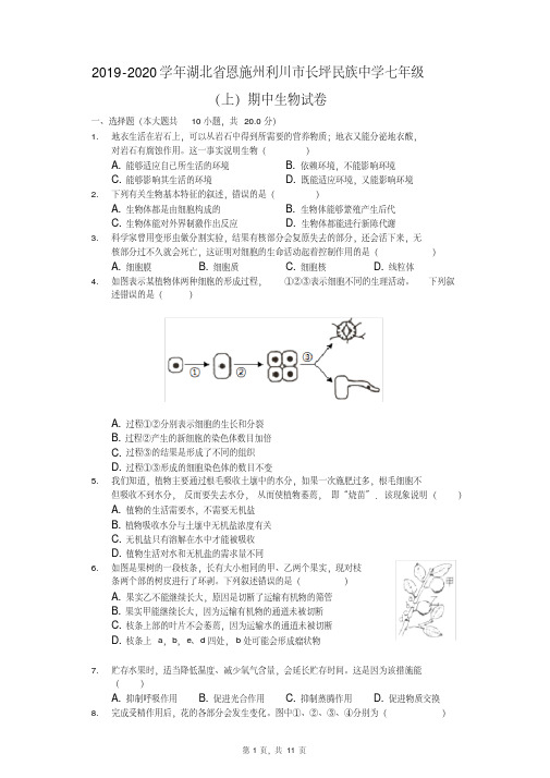 2019-2020学年湖北省恩施州利川市长坪民族中学七年级(上)期中生物试卷