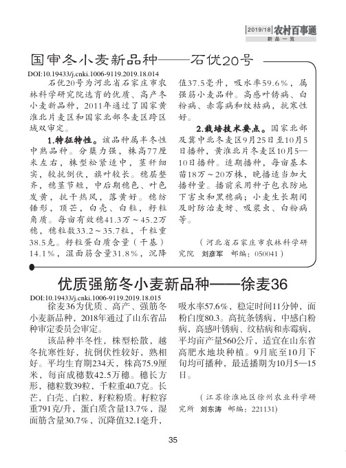 国审冬小麦新品种——石优20号