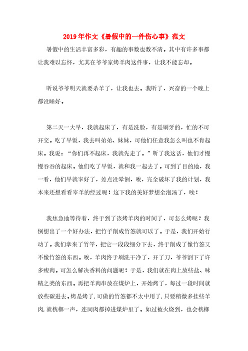 2019年作文《暑假中的一件伤心事》范文