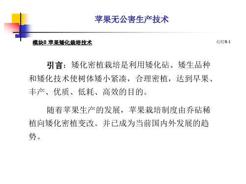 苹果矮化栽培技术