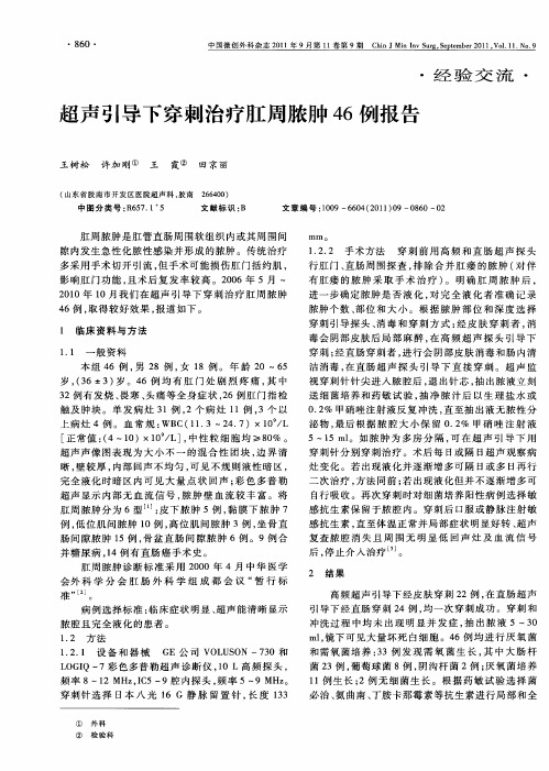 超声引导下穿刺治疗肛周脓肿46例报告