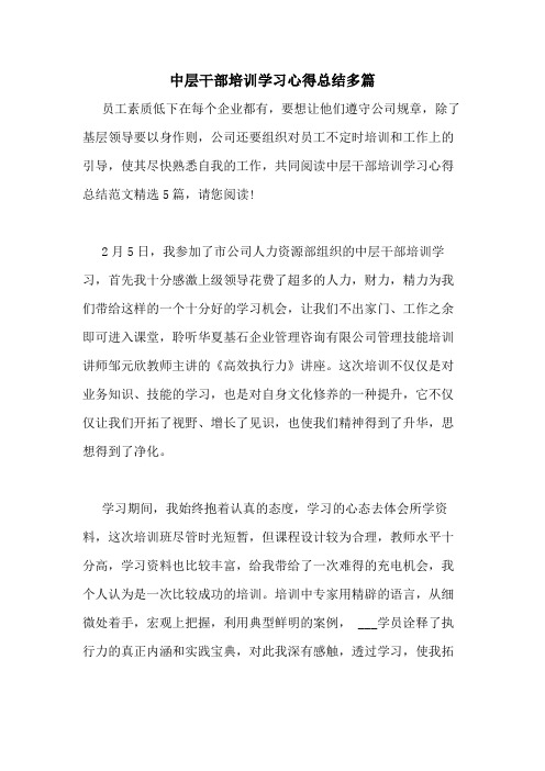 2021年中层干部培训学习心得总结多篇