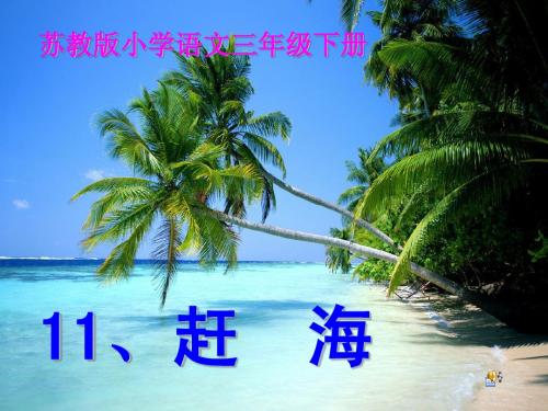 (苏教版)三年级语文下册课件 赶海 5