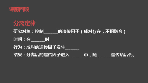 必修二 第一章 第二节 自由组合定律