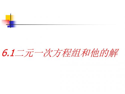 数学：6.1《二元一次方程和它的》解课件(北京课改版七年级下)