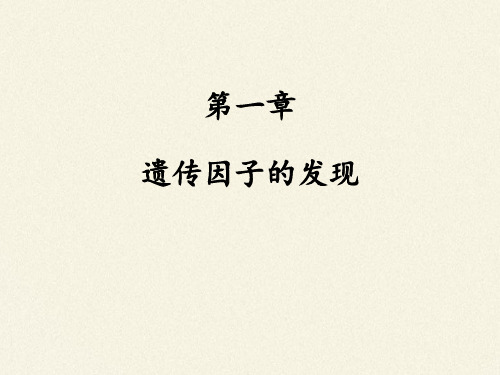 1.1 孟德尔的豌豆杂交实验(一) 课件【新教材 】2020-2021学年高一生物(人教版必修二)