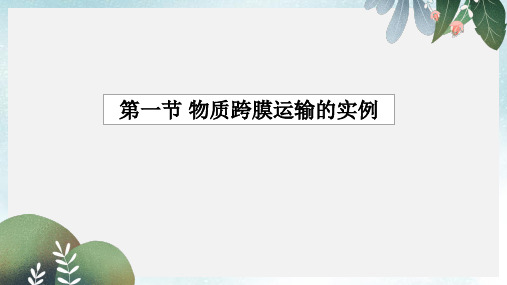 高中生物第四章细胞的物质输入和输出4.1物质跨膜运输的实例课件2新人教版必修1