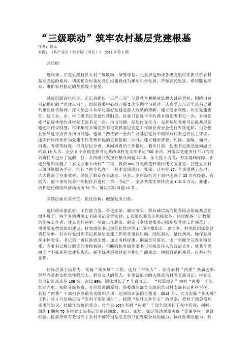 “三级联动”筑牢农村基层党建根基