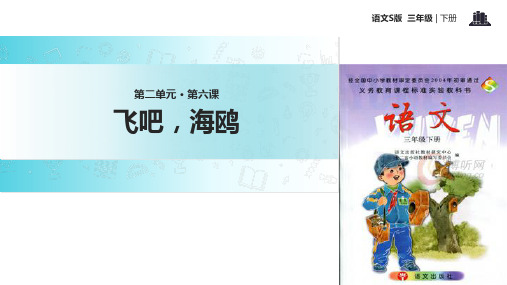 三年级下册语文课件-6飞吧,海鸥∣语文S版 (共10张PPT)