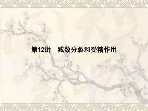 高中生物第四单元细胞的生命历程第12讲减数分裂和受精作用课件