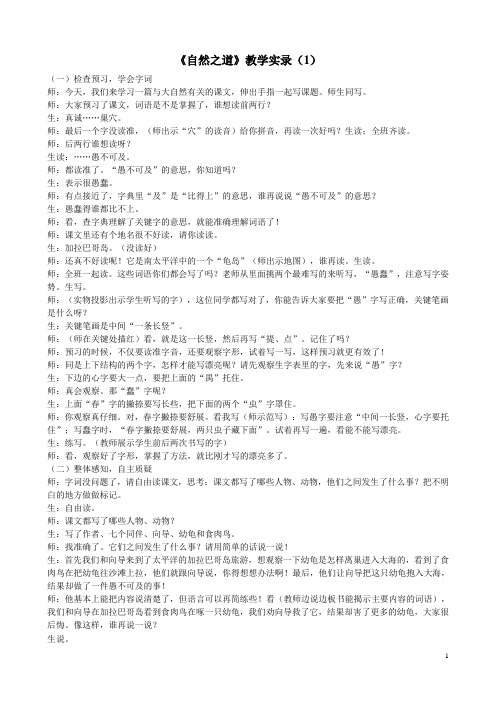 《自然之道》教学实录汇总