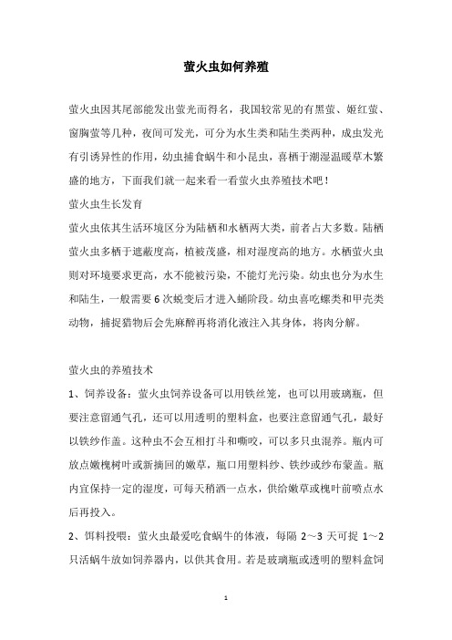 萤火虫如何养殖