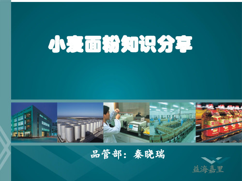 小麦面粉知识分享