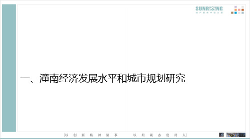 潼南市场调研报告.pptx