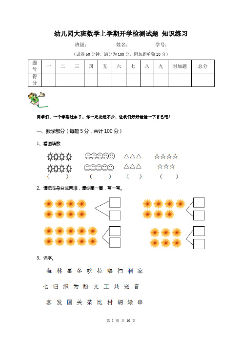 幼儿园大班数学上学期开学检测试题 知识练习