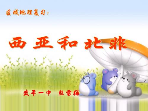 高中 区域地理 西亚和北非