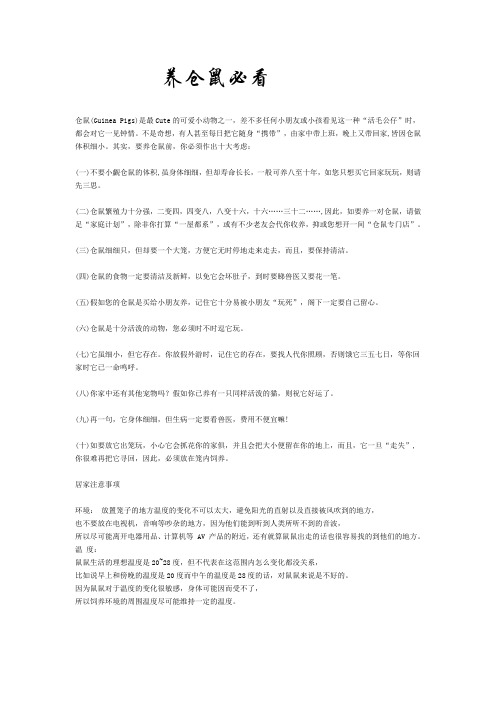 养仓鼠必看