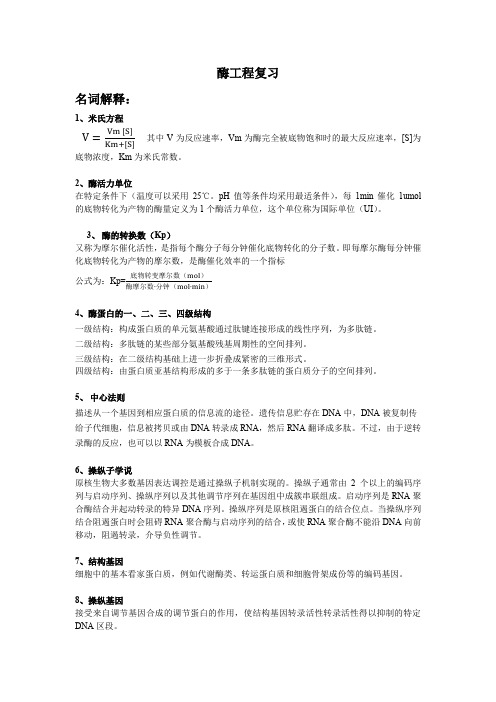 酶工程