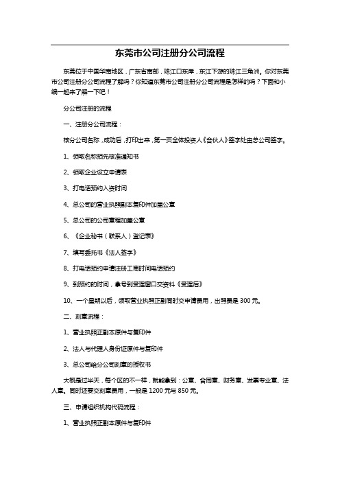 东莞市公司注册分公司流程
