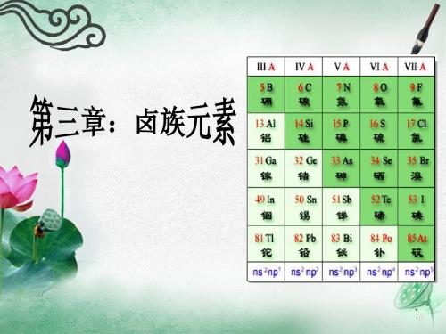元素化学 第三章 卤素