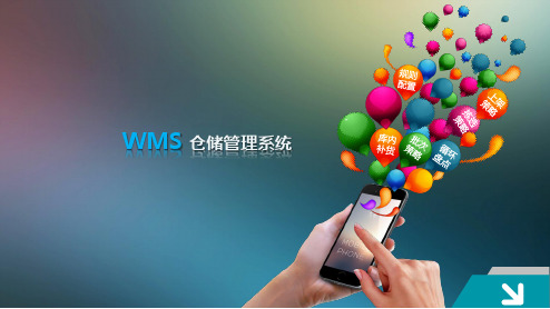 WMS仓储系统介绍解决方案(优秀方案集)
