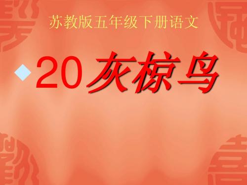 五年级苏教版下册26《灰椋鸟 》 最新课件
