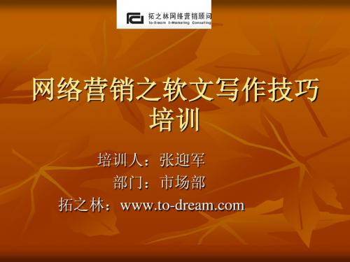 网络营销软文写作技巧培训