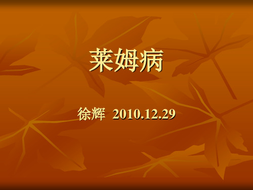 莱姆病
