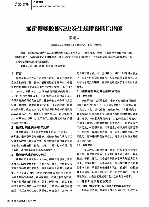 孟定镇橡胶蚧壳虫发生规律及防治措施