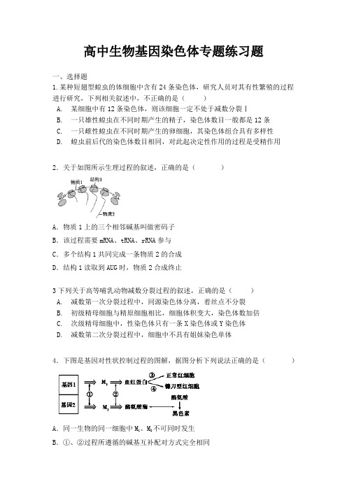 高中生物基因染色体专题练习题(含答案)