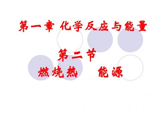 燃烧热  能源lgx