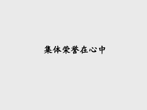 泰山版小学四年级品德与社会上册集体荣誉在心中