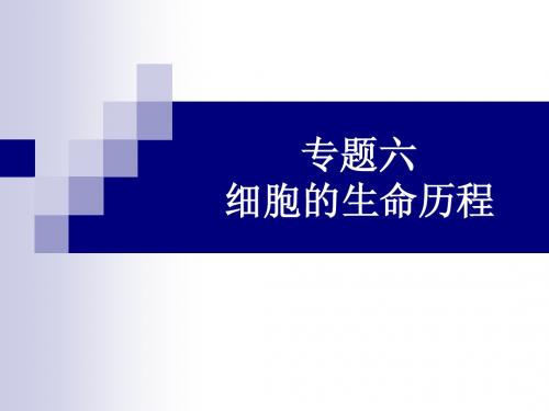 高考生物一轮复习课件：专题六_细胞的生命历程(必修1)