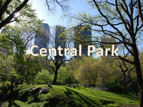 美国纽约中央公园Central Park