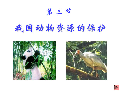 八年级生物我国动物资源的保护