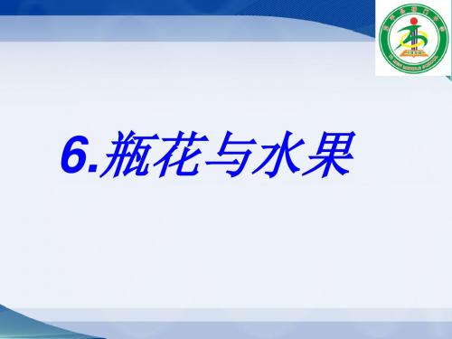 《瓶花与水果》