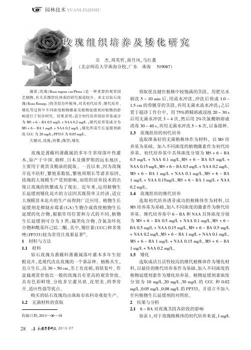 玫瑰组织培养及矮化研究